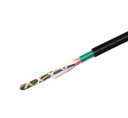 12 ct Single-Mode Armored Fiber Optic Cable, Low Water Peak