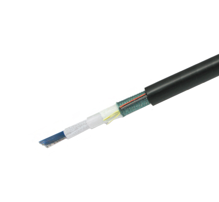 24 ct Single-Mode Armored Fiber Optic Cable, Low Water Peak