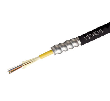 24 ct Plenum Rated Single-Mode Armored Fiber Optic Cable