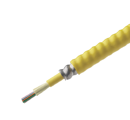 12 ct Plenum Rated Single-Mode Armored Fiber Optic Cable